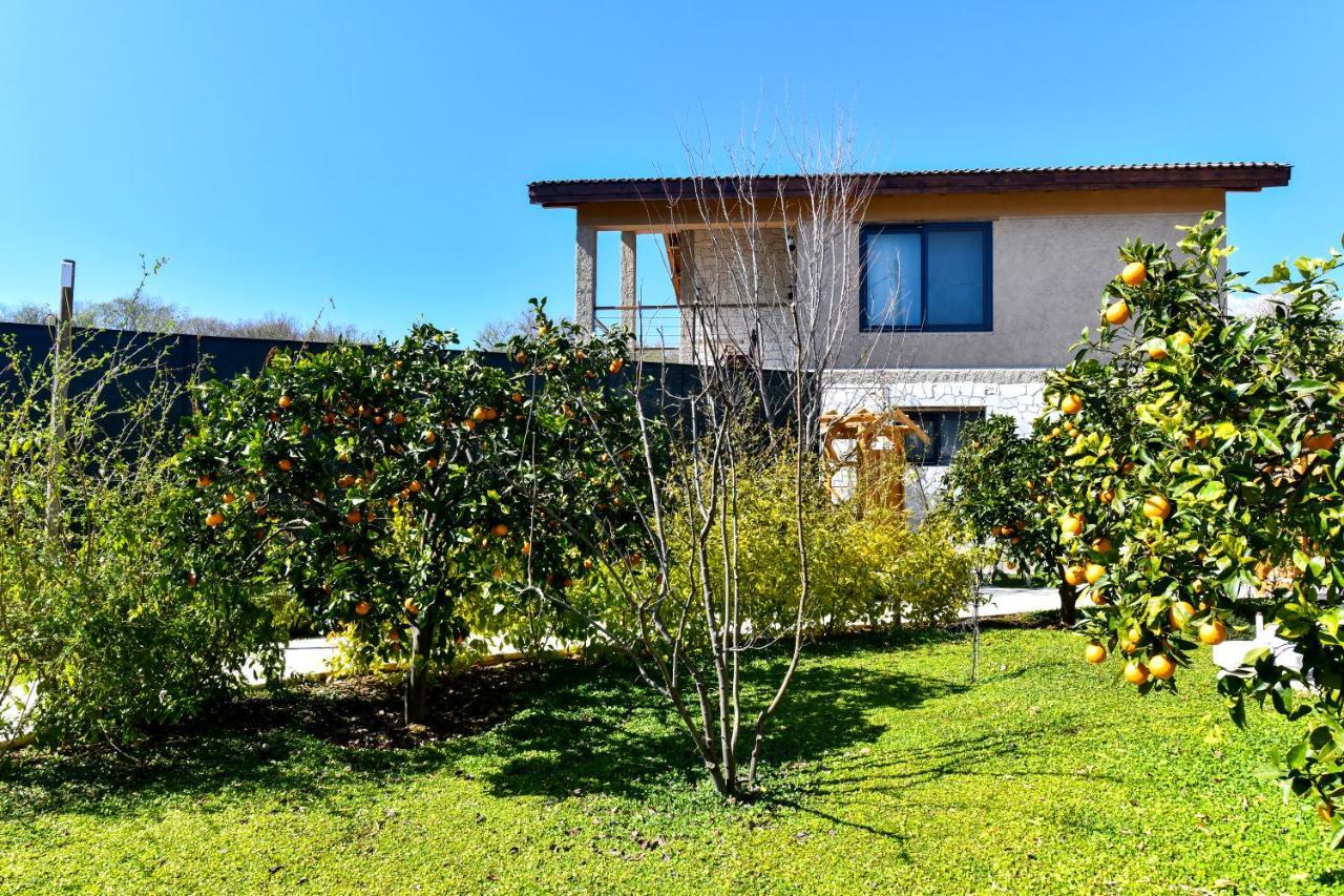 Volans Suites Villas Fethiye Eksteriør billede